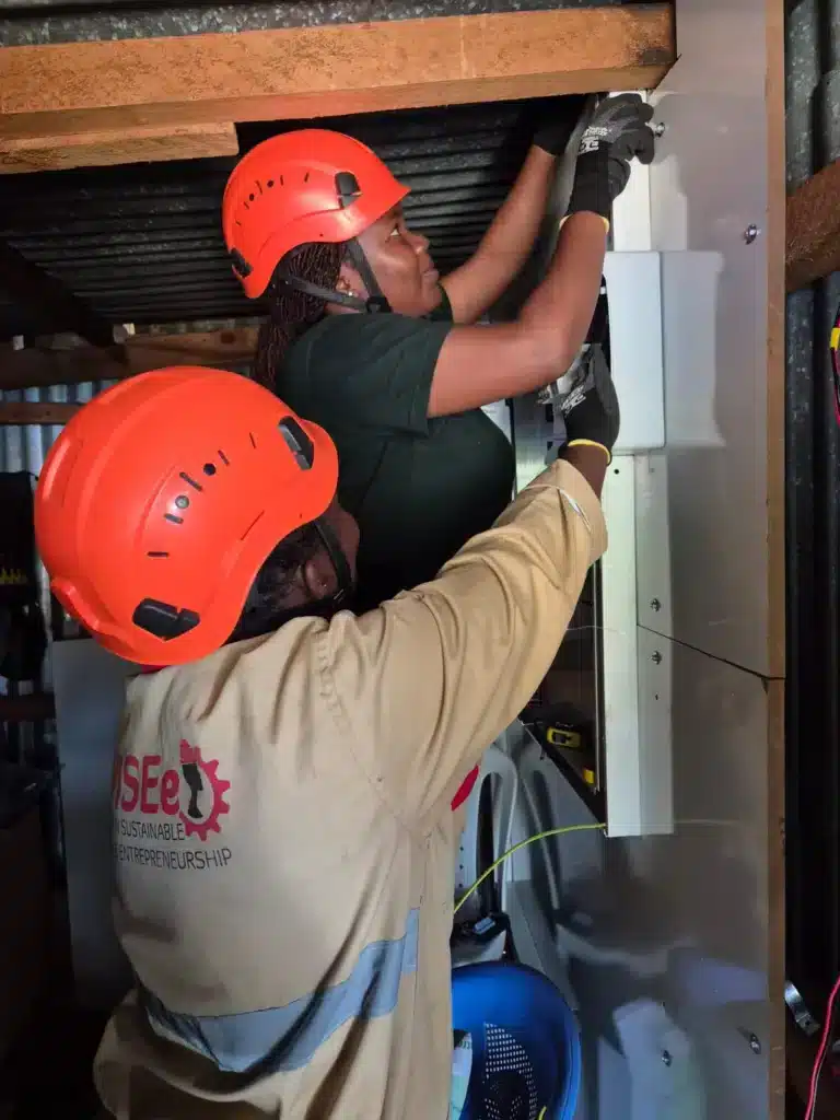 Photo of people installing equipment for African SCENe